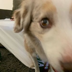 Meet your Posher, Stacey